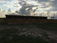 Stud Shed with wooden stalls